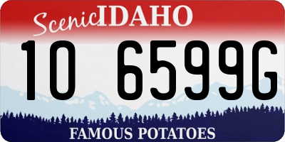 ID license plate 1O6599G