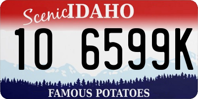 ID license plate 1O6599K