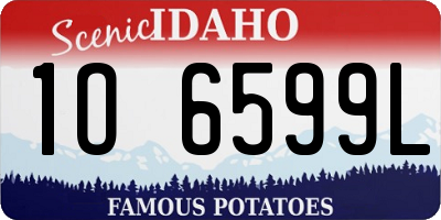 ID license plate 1O6599L