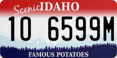 ID license plate 1O6599M