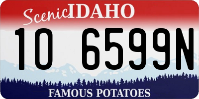 ID license plate 1O6599N