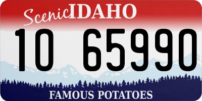 ID license plate 1O6599O