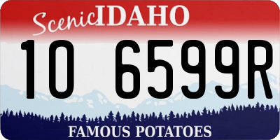 ID license plate 1O6599R
