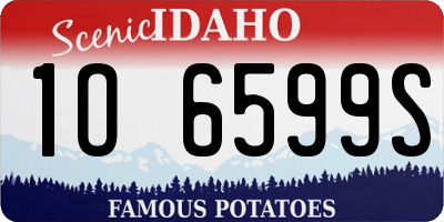 ID license plate 1O6599S
