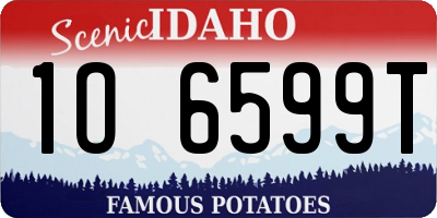 ID license plate 1O6599T