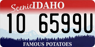 ID license plate 1O6599U