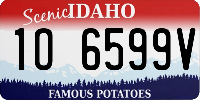 ID license plate 1O6599V