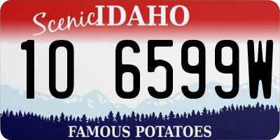 ID license plate 1O6599W