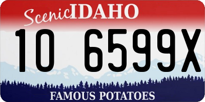 ID license plate 1O6599X