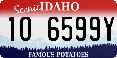 ID license plate 1O6599Y