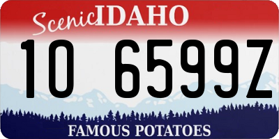 ID license plate 1O6599Z