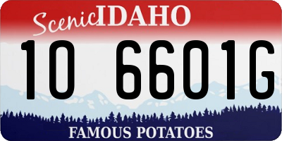 ID license plate 1O6601G