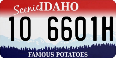 ID license plate 1O6601H