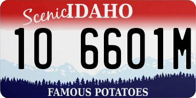 ID license plate 1O6601M