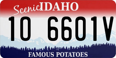 ID license plate 1O6601V