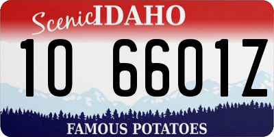 ID license plate 1O6601Z