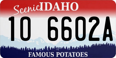ID license plate 1O6602A