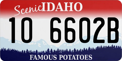 ID license plate 1O6602B