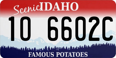 ID license plate 1O6602C