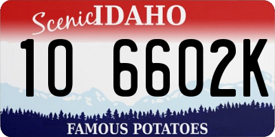 ID license plate 1O6602K