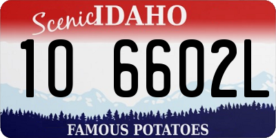 ID license plate 1O6602L