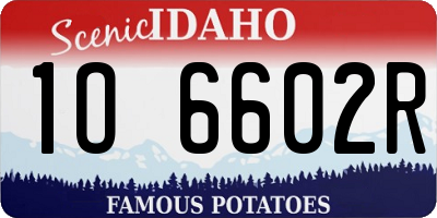 ID license plate 1O6602R