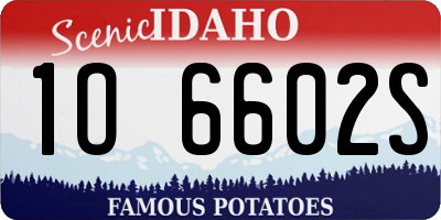 ID license plate 1O6602S