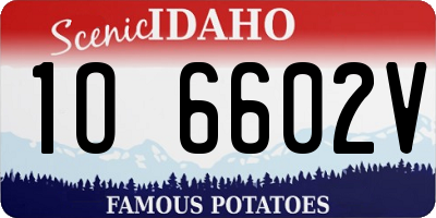 ID license plate 1O6602V
