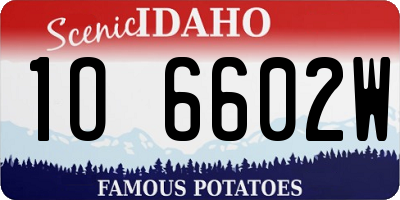 ID license plate 1O6602W