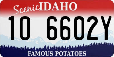 ID license plate 1O6602Y