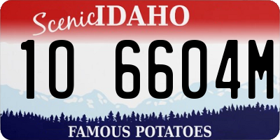 ID license plate 1O6604M