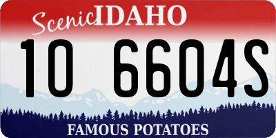 ID license plate 1O6604S