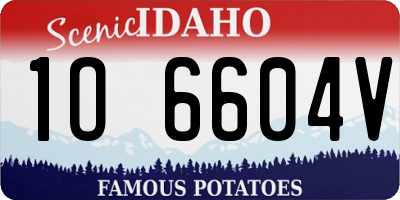 ID license plate 1O6604V