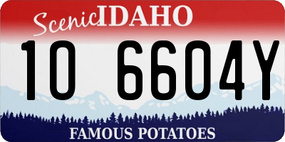 ID license plate 1O6604Y