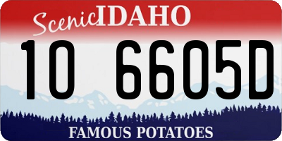 ID license plate 1O6605D