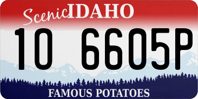 ID license plate 1O6605P