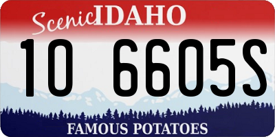 ID license plate 1O6605S