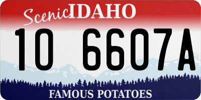 ID license plate 1O6607A