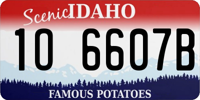 ID license plate 1O6607B