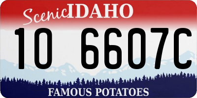 ID license plate 1O6607C