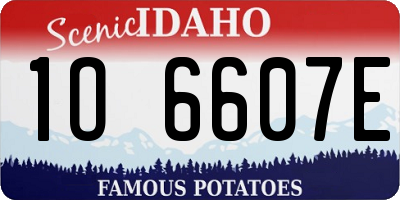 ID license plate 1O6607E