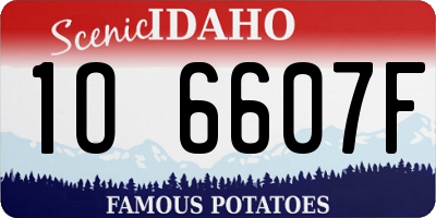ID license plate 1O6607F