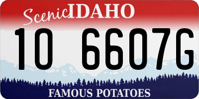 ID license plate 1O6607G