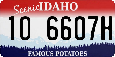 ID license plate 1O6607H