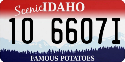 ID license plate 1O6607I