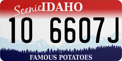 ID license plate 1O6607J