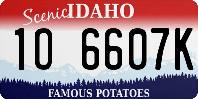ID license plate 1O6607K