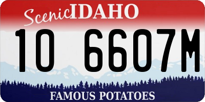 ID license plate 1O6607M