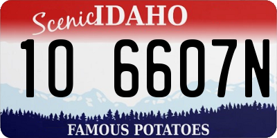 ID license plate 1O6607N