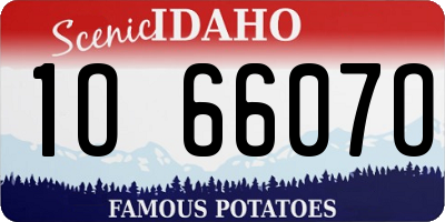 ID license plate 1O6607O